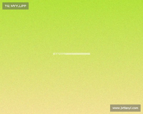 以FIFA2006世界杯官网为核心回顾经典赛事与数据全景解析